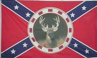 Rebel Novelty Flags Farther Down