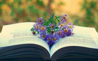 Reading Image Book Wallpaper Photos