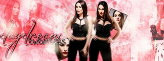 The Bella Twins Wallpaper Portada By