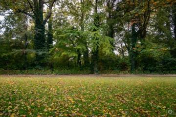 Autumn Park Background High Quality Background
