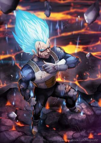 Vegeta Super Saiyan God By Magion02
