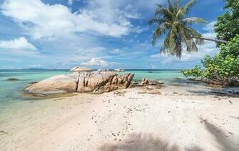 Wallpaper Sea Beach Nature Tropics Palm Trees Coast Natur