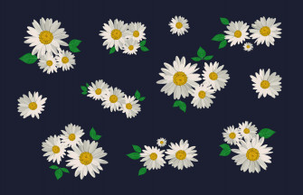 Daisy Aesthetic Computer Wallpaper