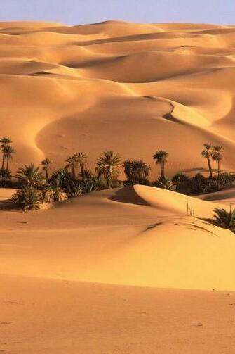Sahara Desert iPhone HD Wallpaper