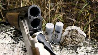Gun Ammo Vertikalka Timber Weapon Shotgun Wallpaper
