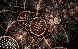Brown Fractal Balls And Circles Wallpaper
