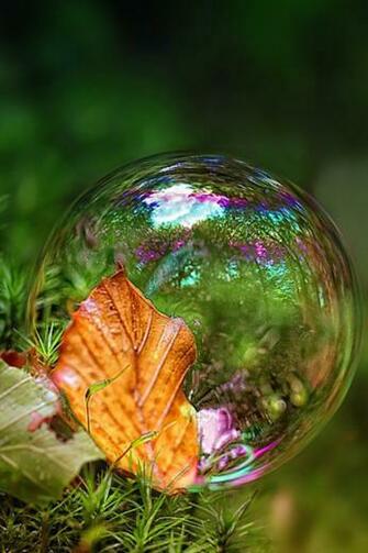 Nature Wallpaper For iPhone
