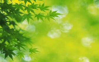 Natural Background Image