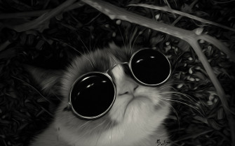 Grumpy Cat Wallpaper