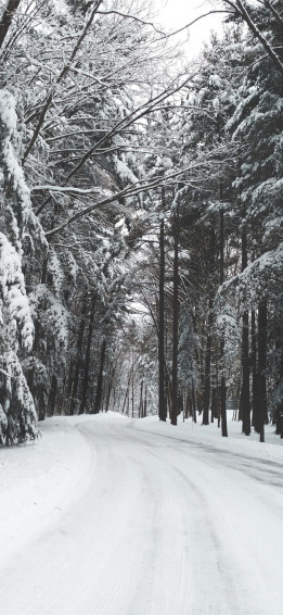 Snow iPhone Wallpaper