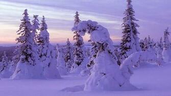 Winter Solstice Wallpaper