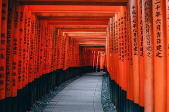 Kyoto Texture Pathway Digital Wood