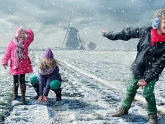 Funny Winter Wallpaper