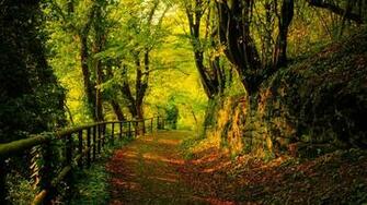 Landscape Wallpaper High Definition With