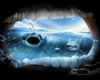 Jaws Wallpaper Widescreen For