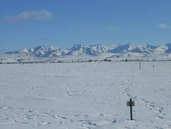 New Study Suggests Northern Tundra Shifting From Carbon