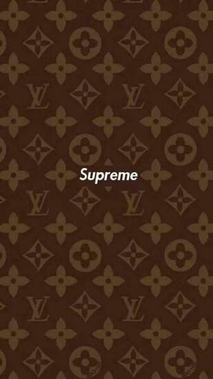 Supreme Louis Vuitton Sumacase