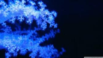 Blue Phosphorescent Corals Wallpaper