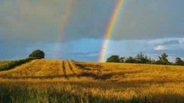 Wallpaper Field Rainbow Landscape Sky After