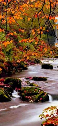 4k Fall Wallpaper For Desktop iPad iPhone