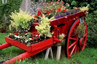 Beautiful Flower Garden Forest Cool Wallpaper Wonderful
