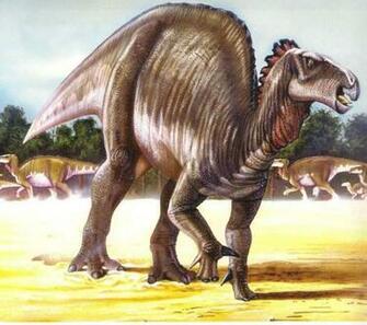 Best Iguanodon Wallpaper