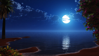 Wallpaper Tropical Beach Coast Full Moon Night
