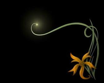 Black Background Yellow Flower And Moon HD Wallpaper