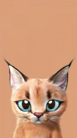 Kawaii Anime Cat HD Wallpaper Desktop Background