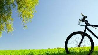 Black Bike In Nature Picture For iPhone Blackberry iPad