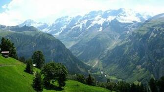Mountain Meadow Wallpaper