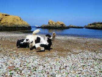 Glass Beach