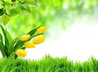 Spring Freshness Wallpaper HD