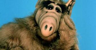 Alf Image Xxx D03 Tv HD Wallpaper And