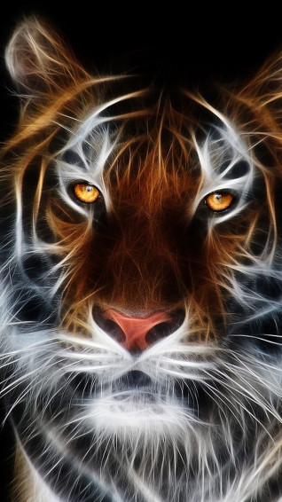 C8f9c6ff98e7964f2108b3c4811fd8fc Wallpaper