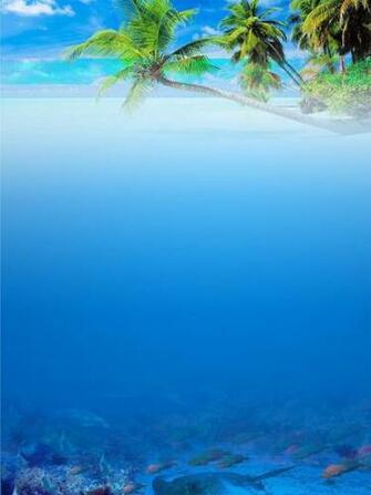 Seafood Menu Background Material Restaurant