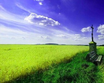 Spring Scenery Vector