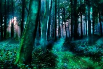 Magic Forest Wallpaper HD Background Image Pics Photos
