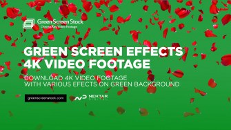 Green Screen Wallpaper