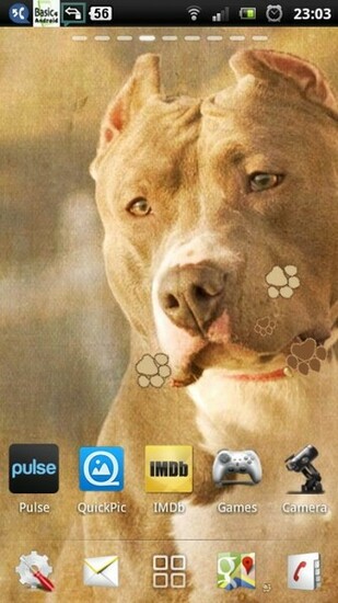 Pitbull Dogs Live Wallpaper Apps For Android Phone