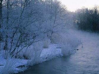 High Quality Snow Winter Scene Covered Trees And