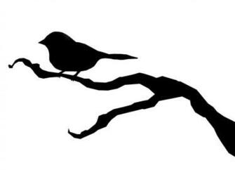 Bird Silhouette Wallpaper