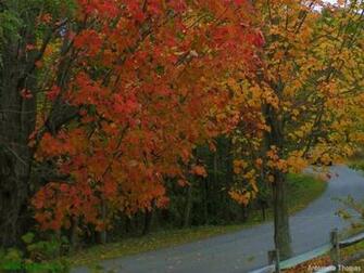 Autumn Country Road Nga
