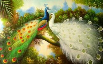 Lovely Peacocks Hidden Place Wallpaper