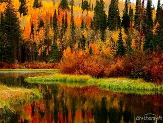 Animated Fall Screensavers Hot Girls Wallpaper