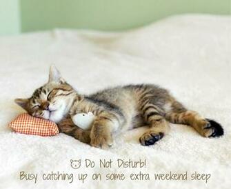 National Napping Day A Simple Nap Can Change Everything