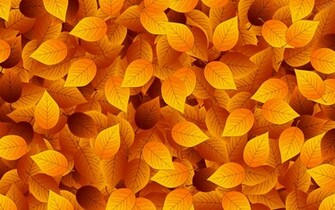 Autumn Leaves Wallpaper