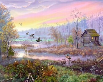 Duck Hunting Background