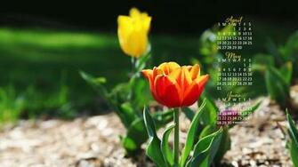 Calendar Wallpaper Desktop By Kate Net