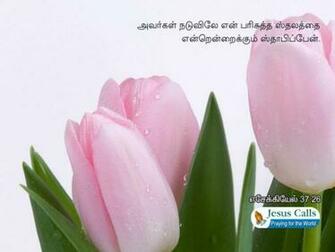 Bible Verse Greetings Card Wallpaper Nature Cute
